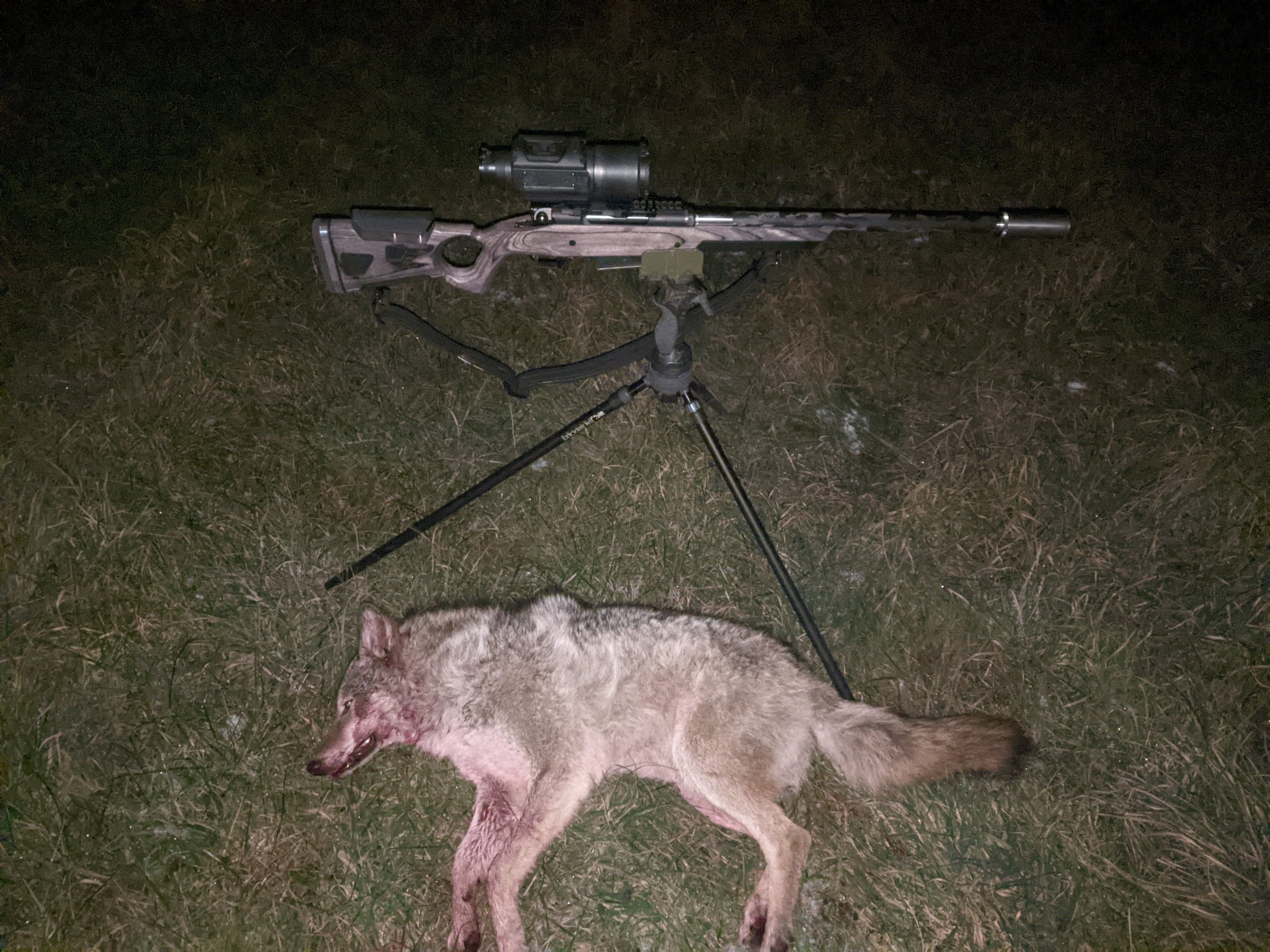 10-20 Am Yote.jpg