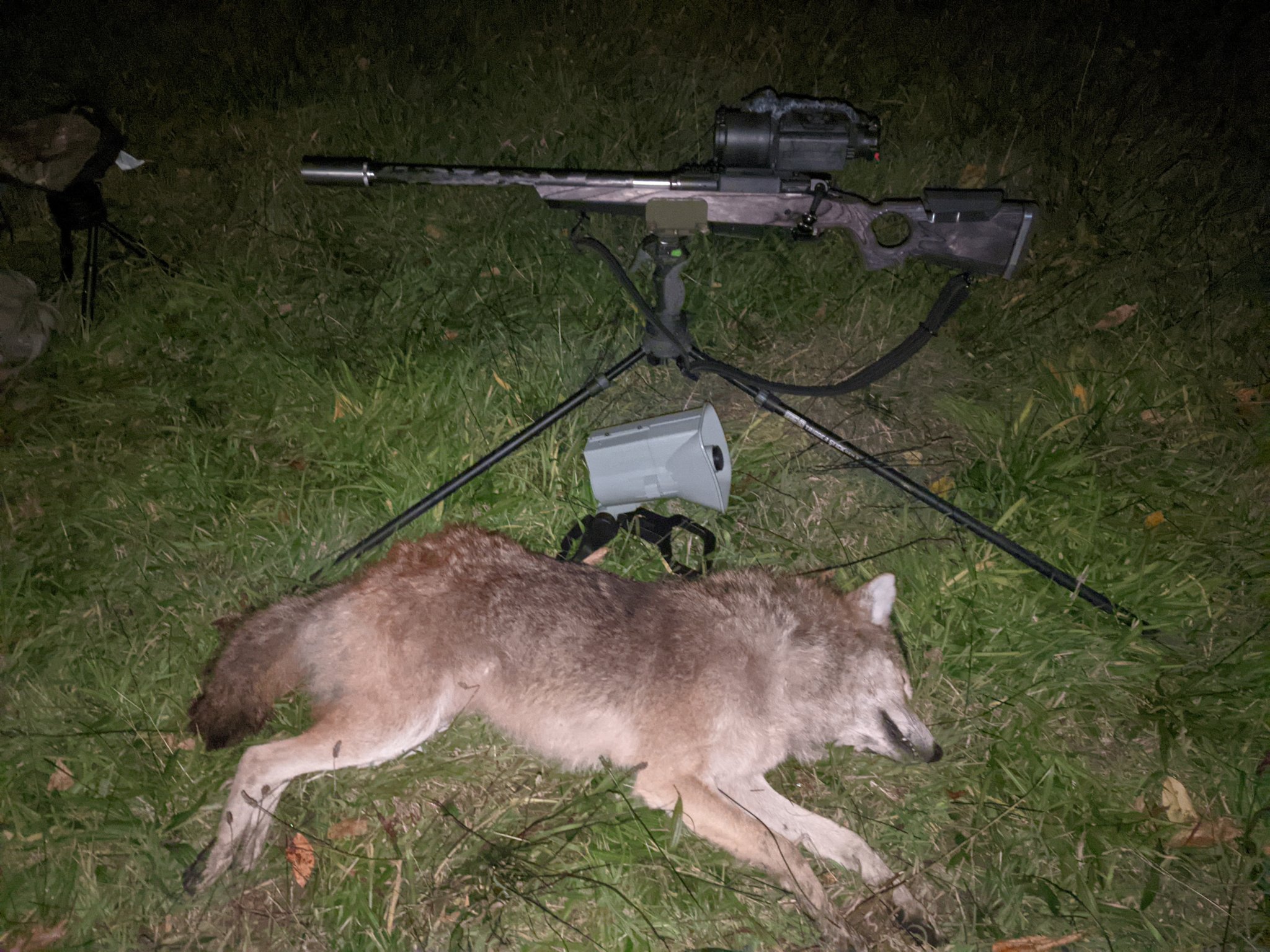 10 22 Yote.jpg