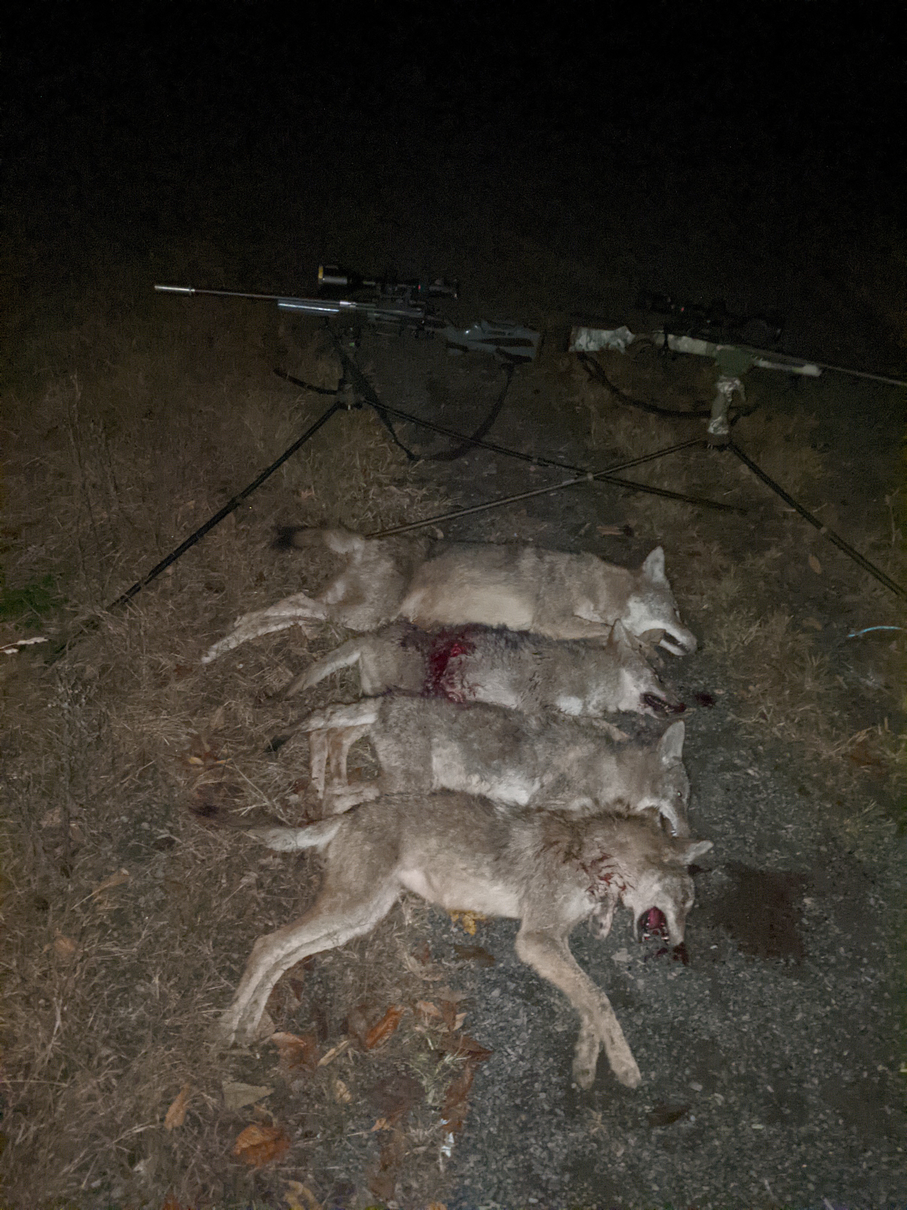 10-25 Quad.jpg