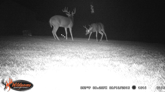 10 pt.jpg