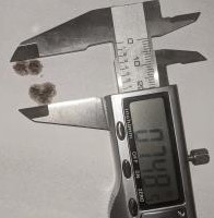 100.jpg