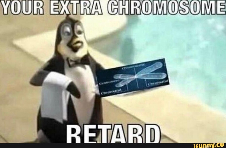 1000000209_01.jpg