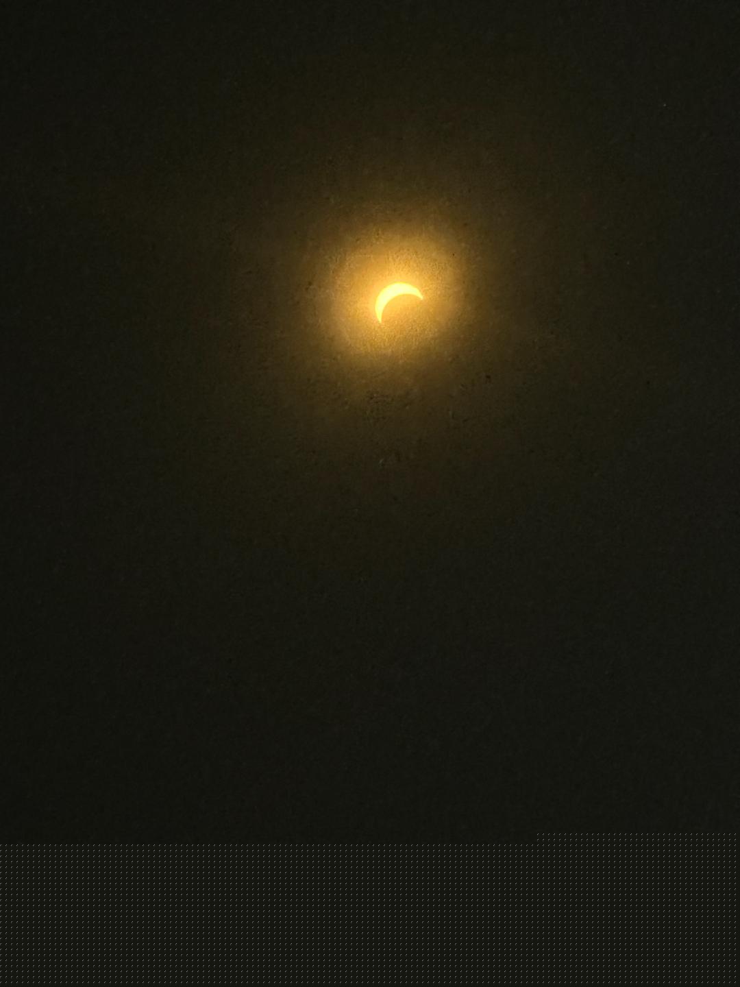 1000000687.jpg