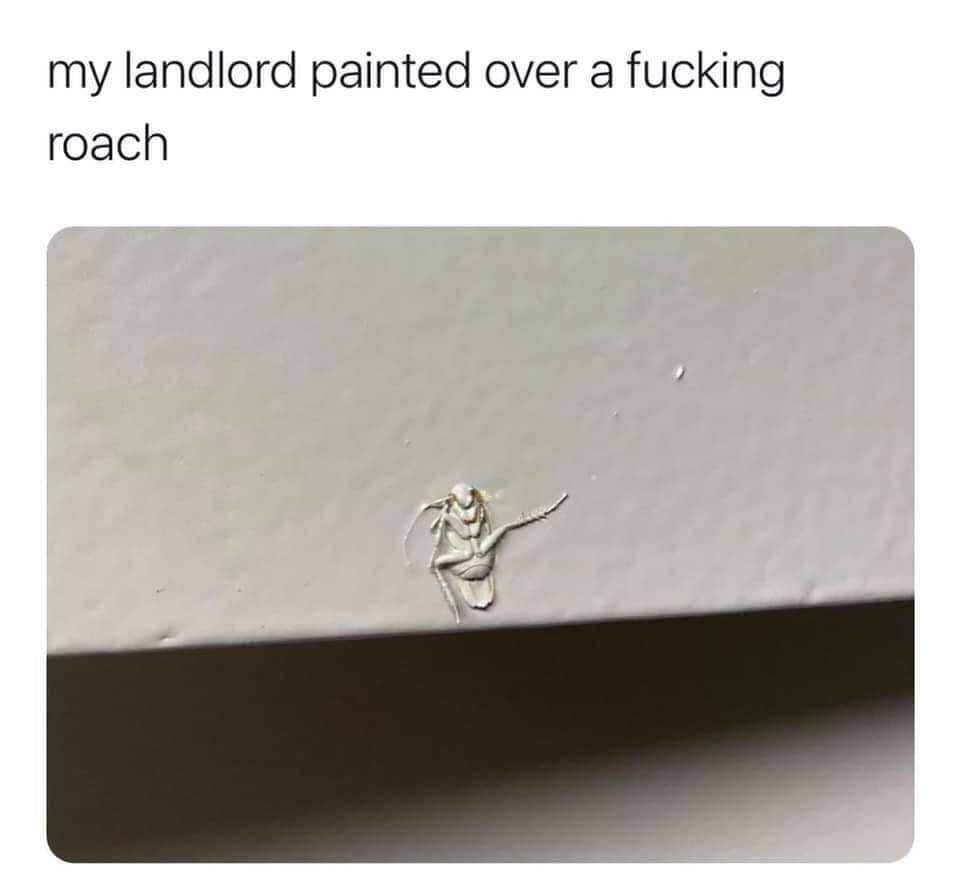 1000001068.jpg