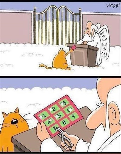 1000001132.jpg