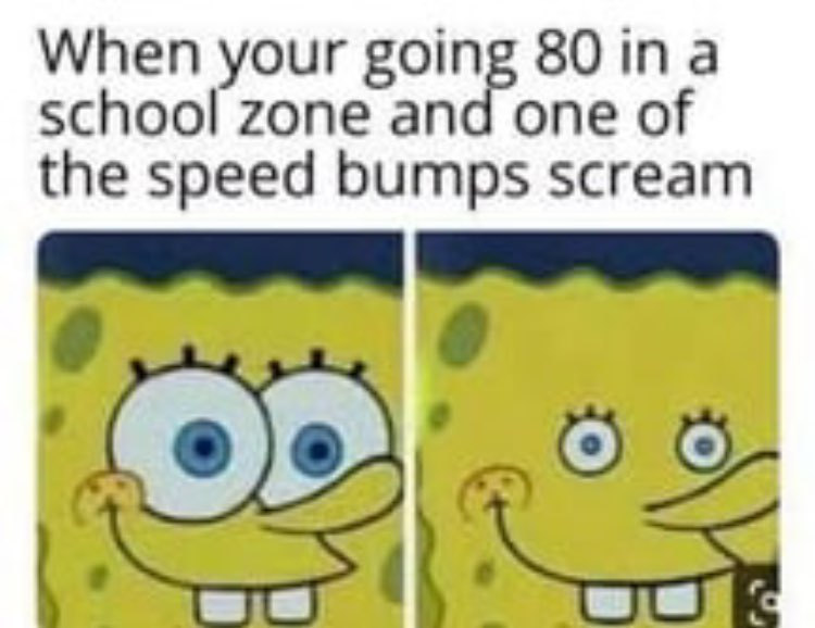 1000001241.jpg