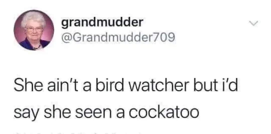 1000001274.jpg