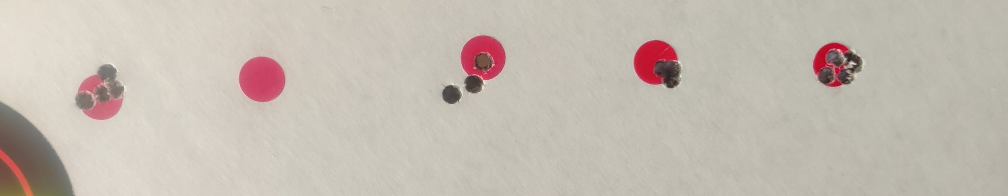 1000001445.jpg