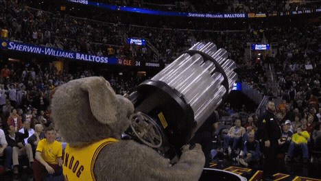 1000001461.gif