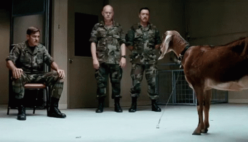 1000001645.gif