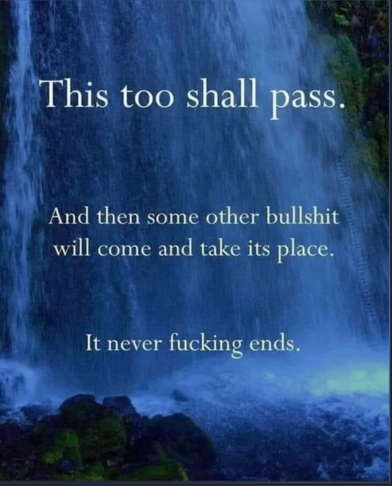 1000001848.jpg