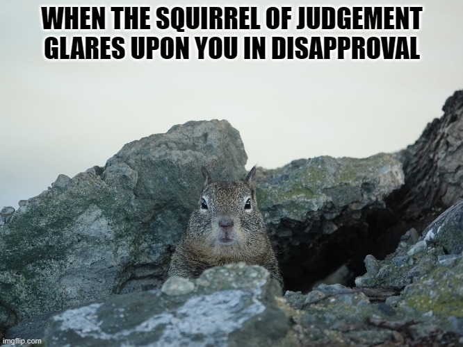 1000001932.jpg