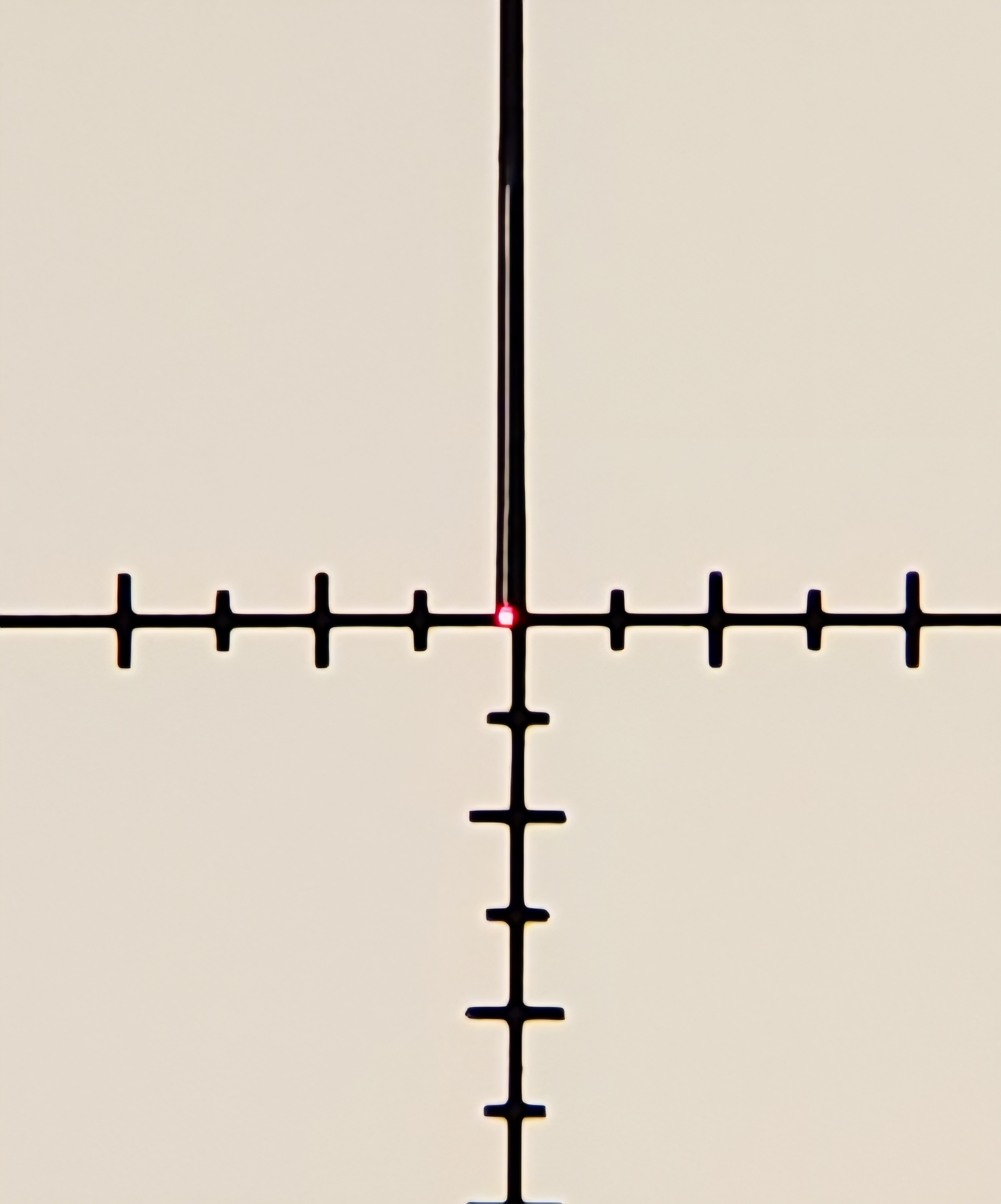 1000002910.jpg