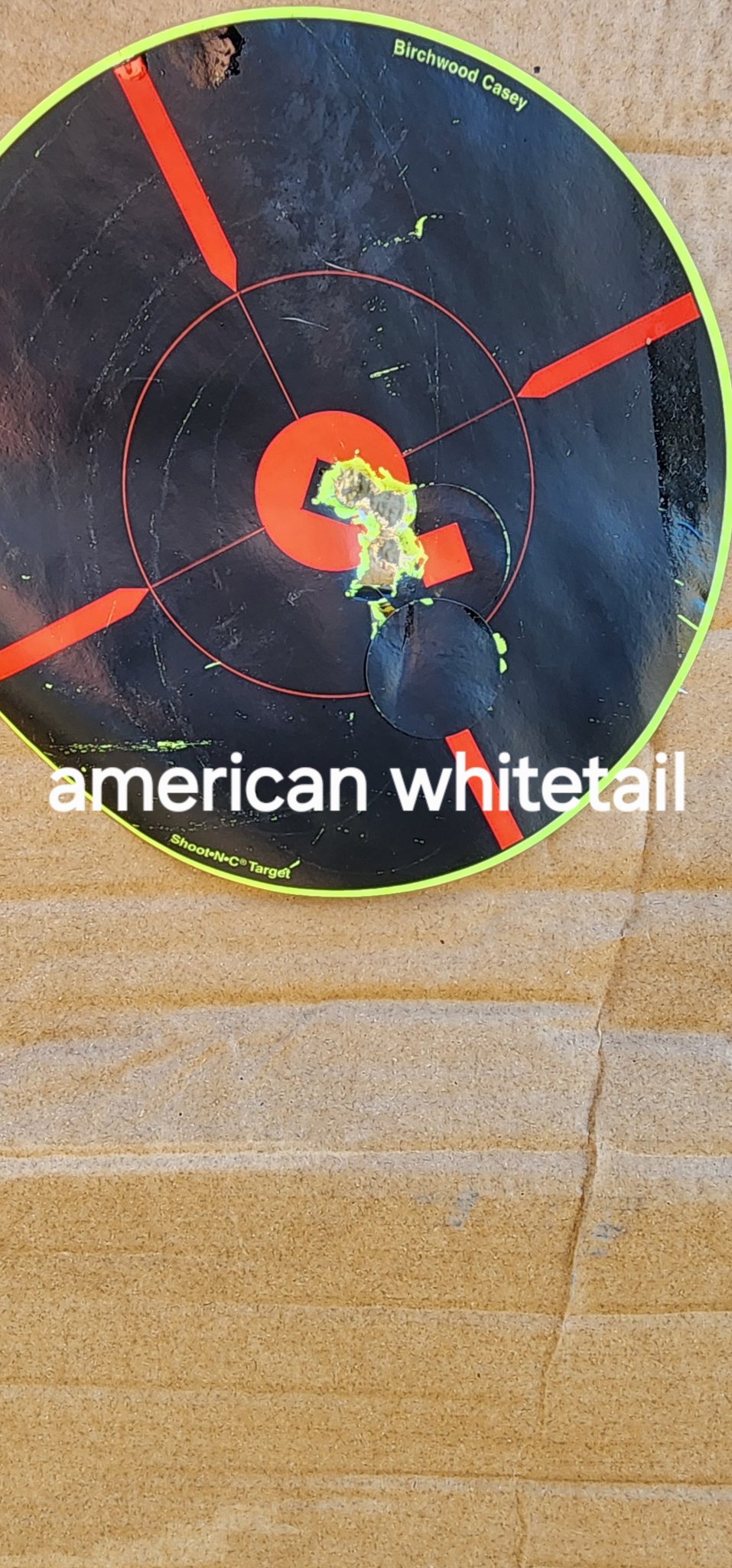 1000003908.jpg