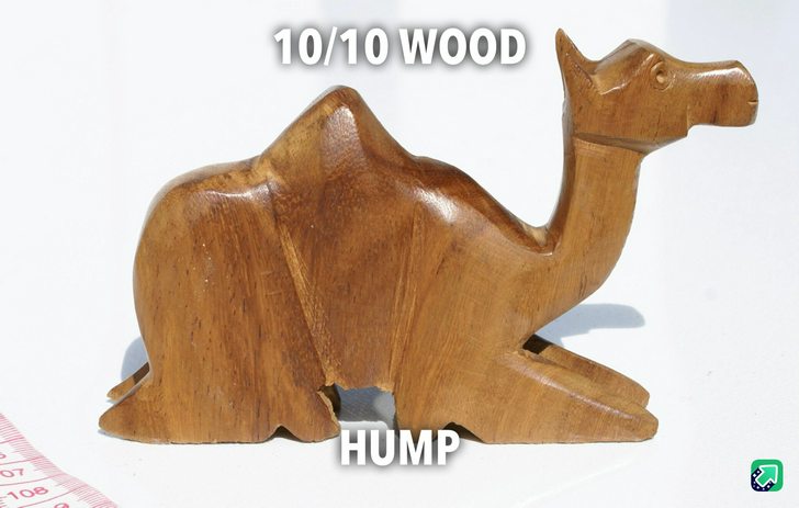 1000005861.jpg