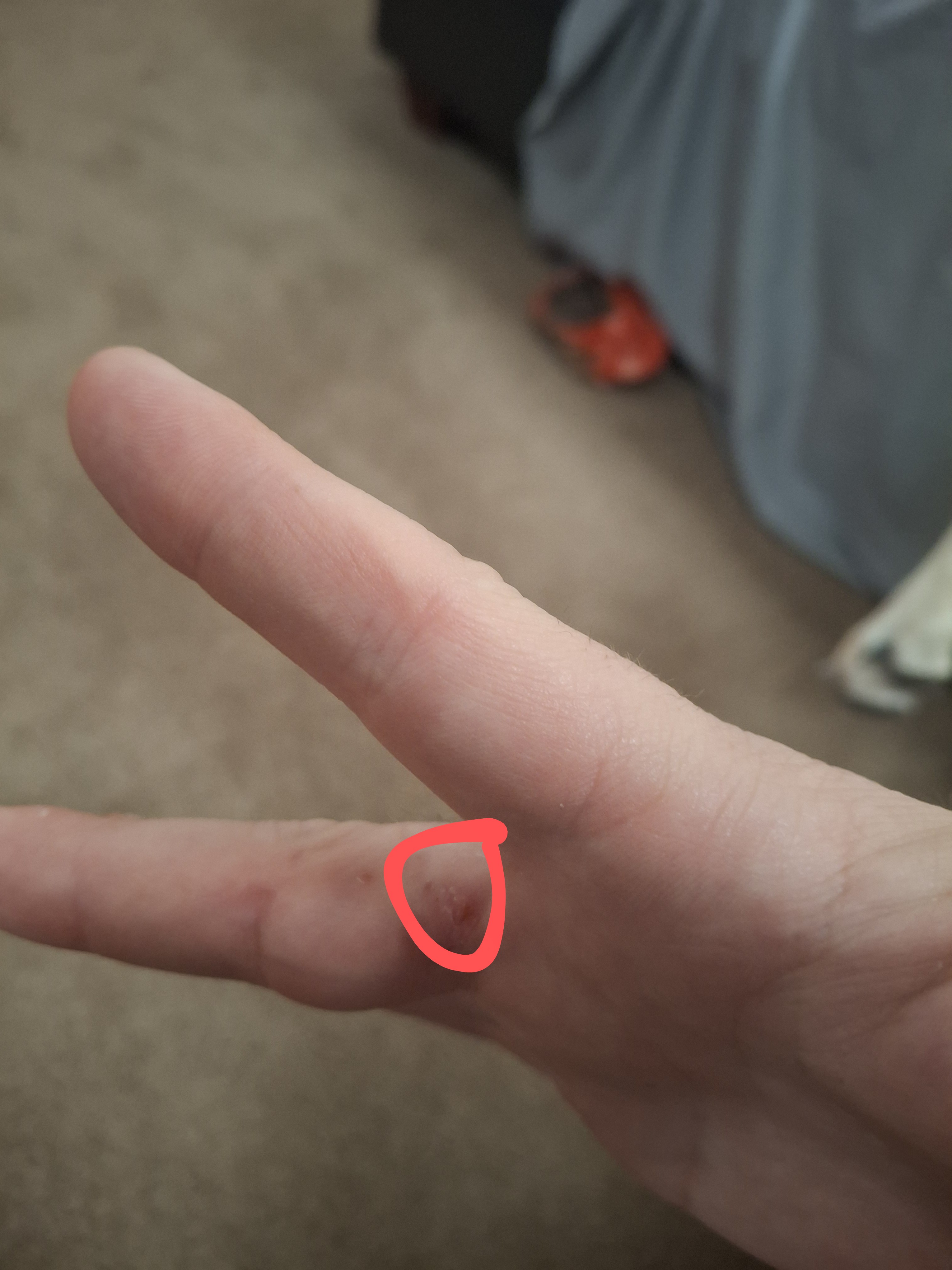 1000005947.jpg