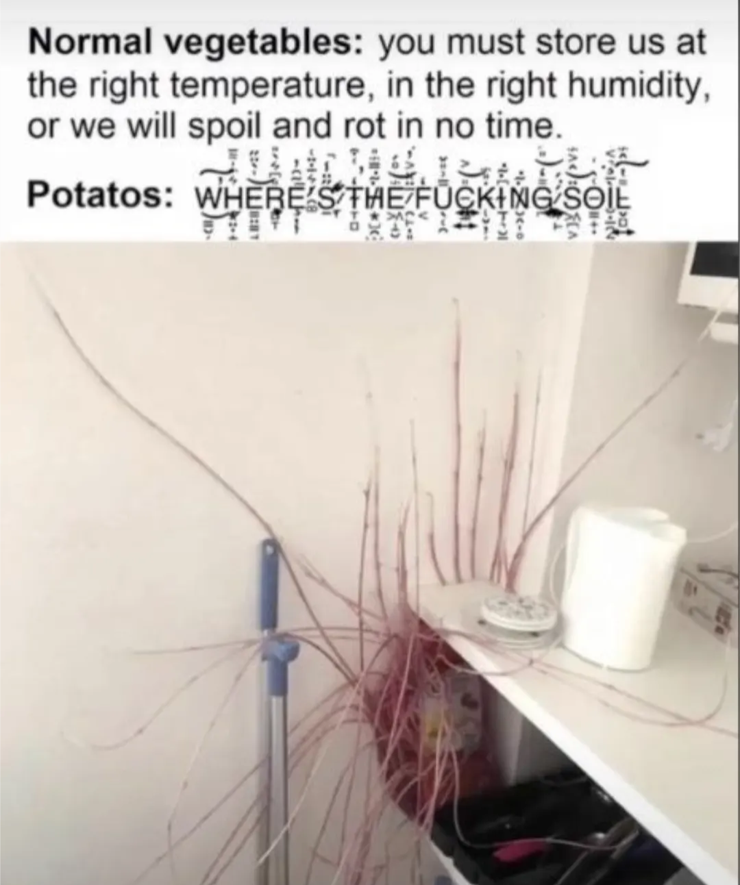 1000006295.png