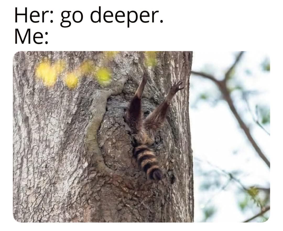 1000006336.jpg