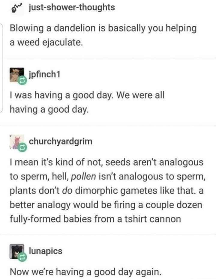 1000006547.jpg
