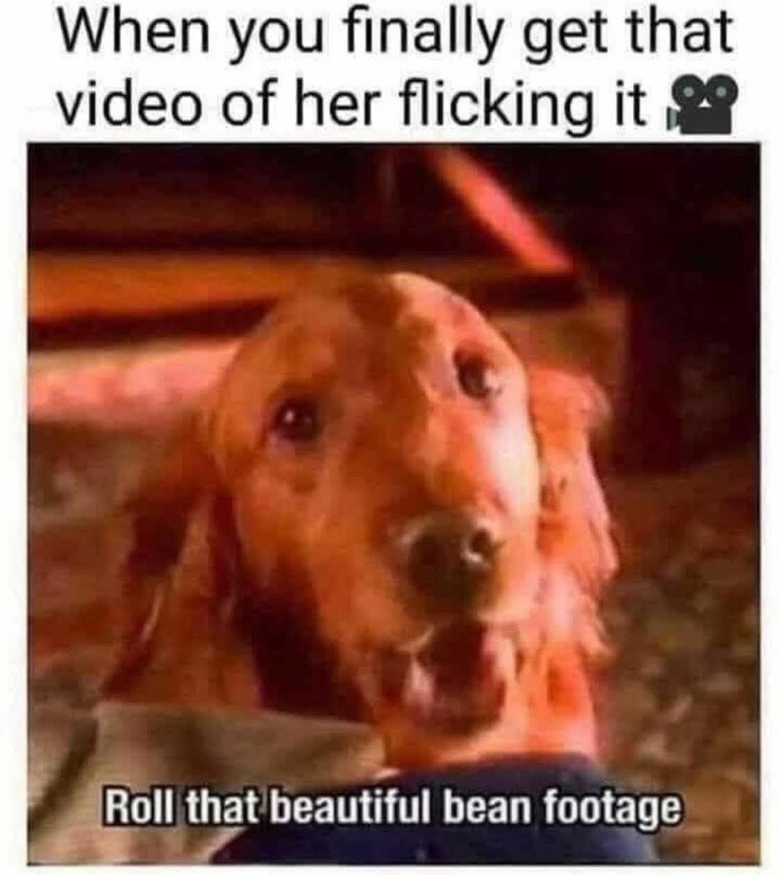 1000007195.jpg