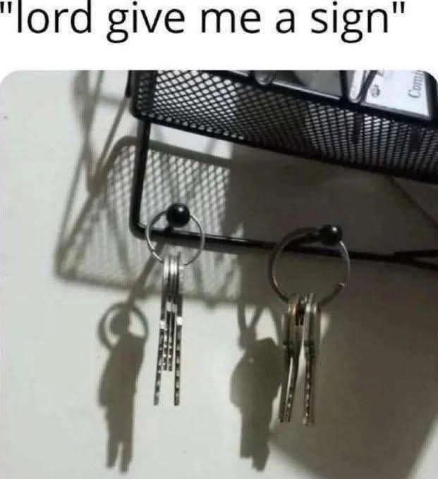 1000007355.jpg