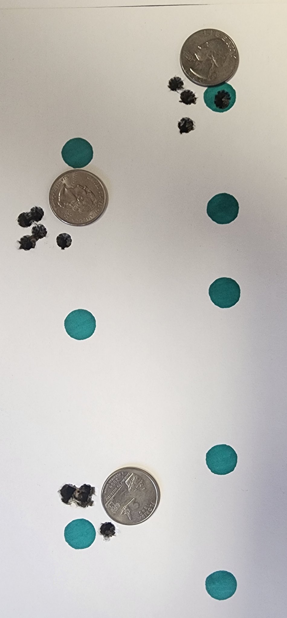 1000007487.jpg