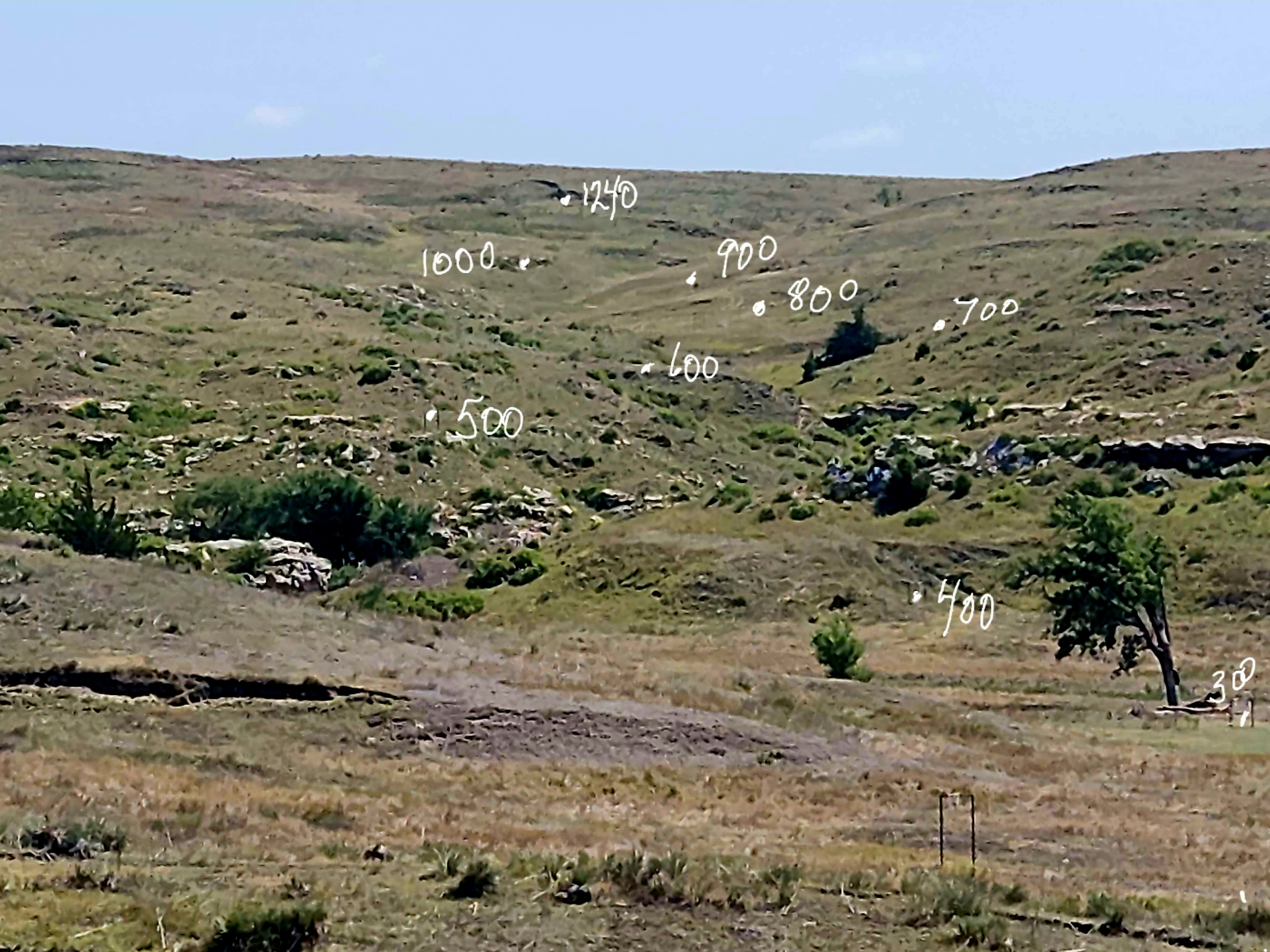 1000007664.jpg