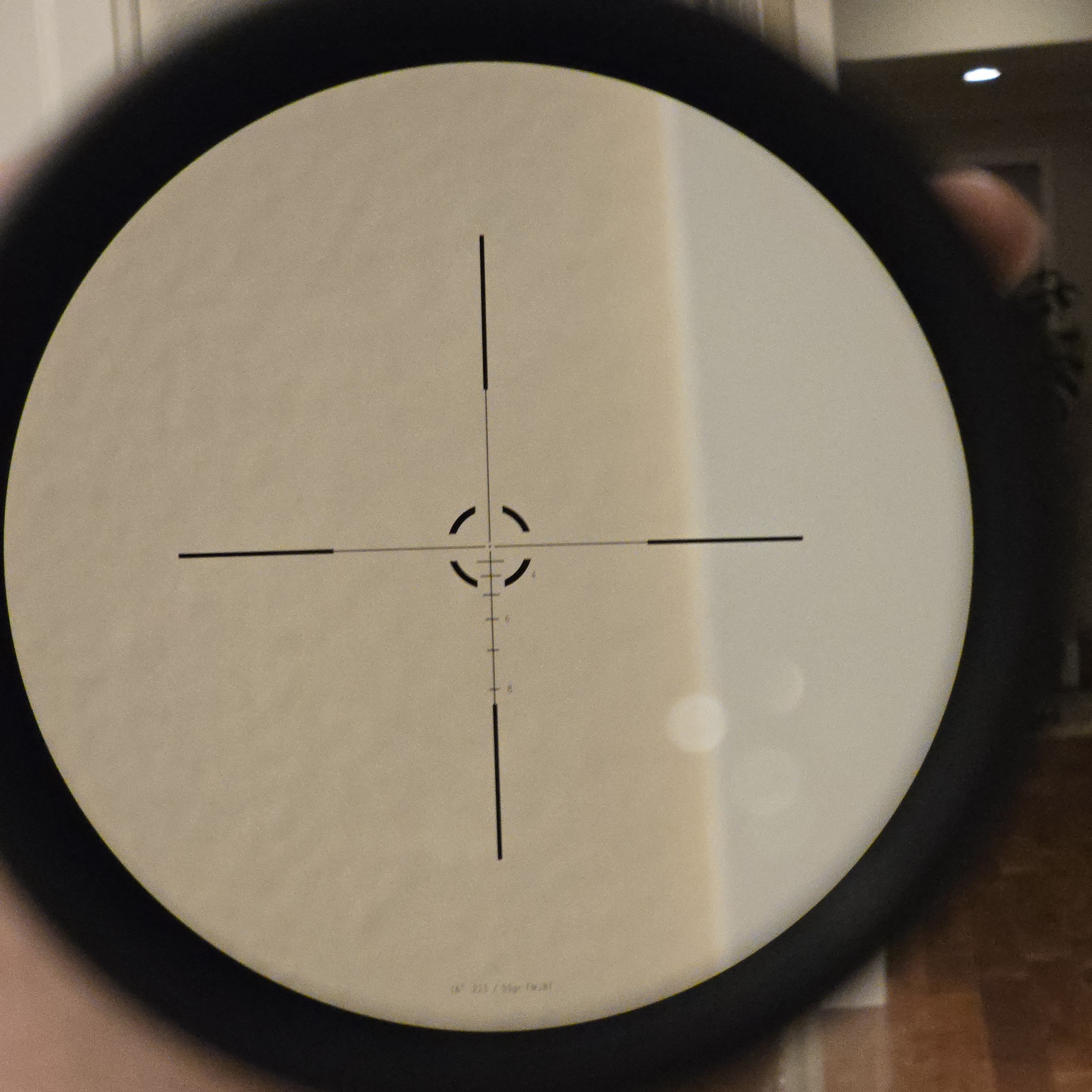 1000008510.jpg