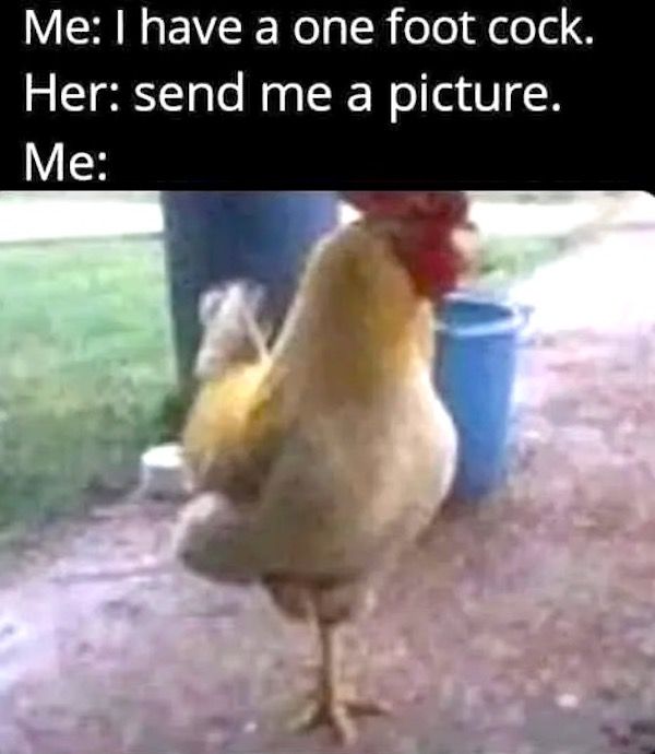 1000008672.jpeg