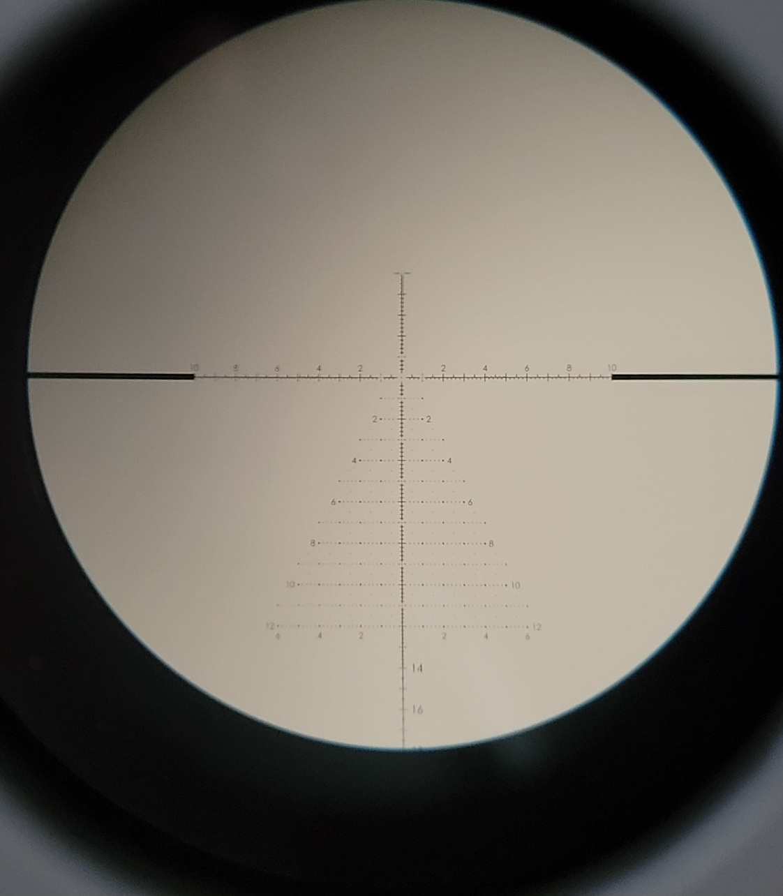 1000011813.jpg