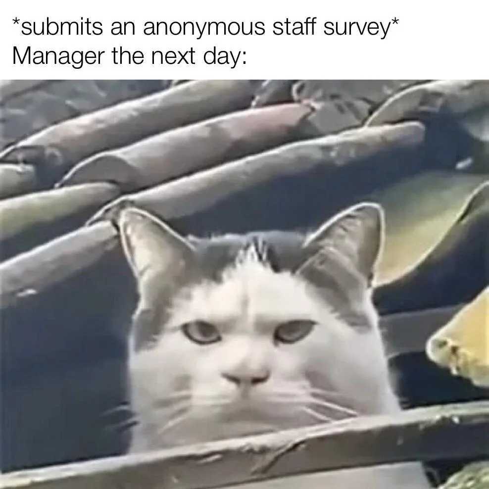 1000012205.jpg