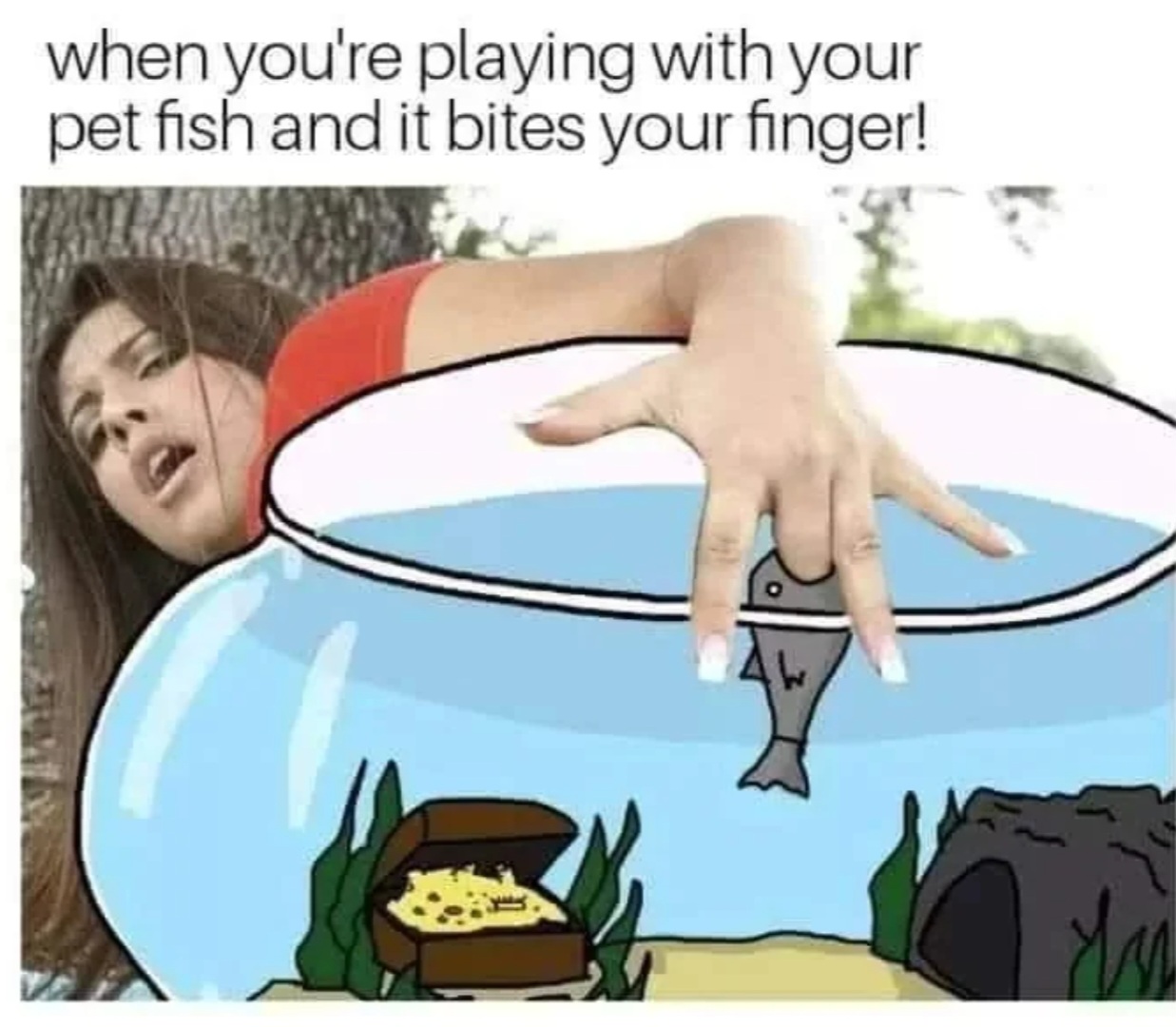 1000016396.jpg