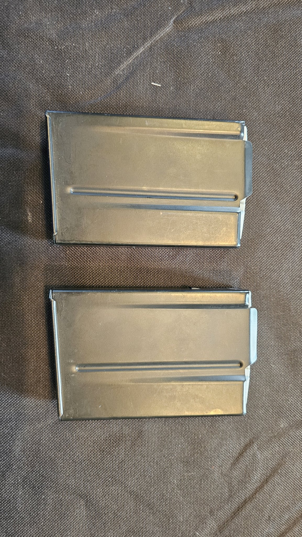 1000025484.jpg