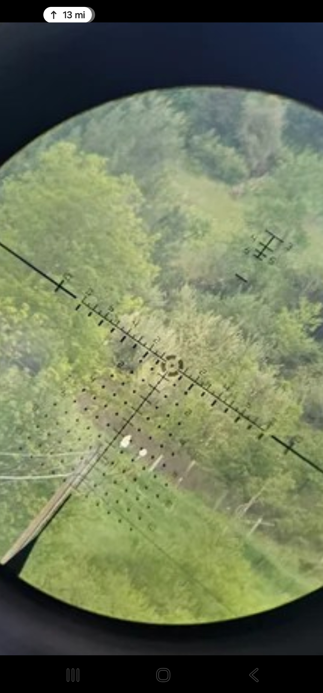 1000045447.jpg