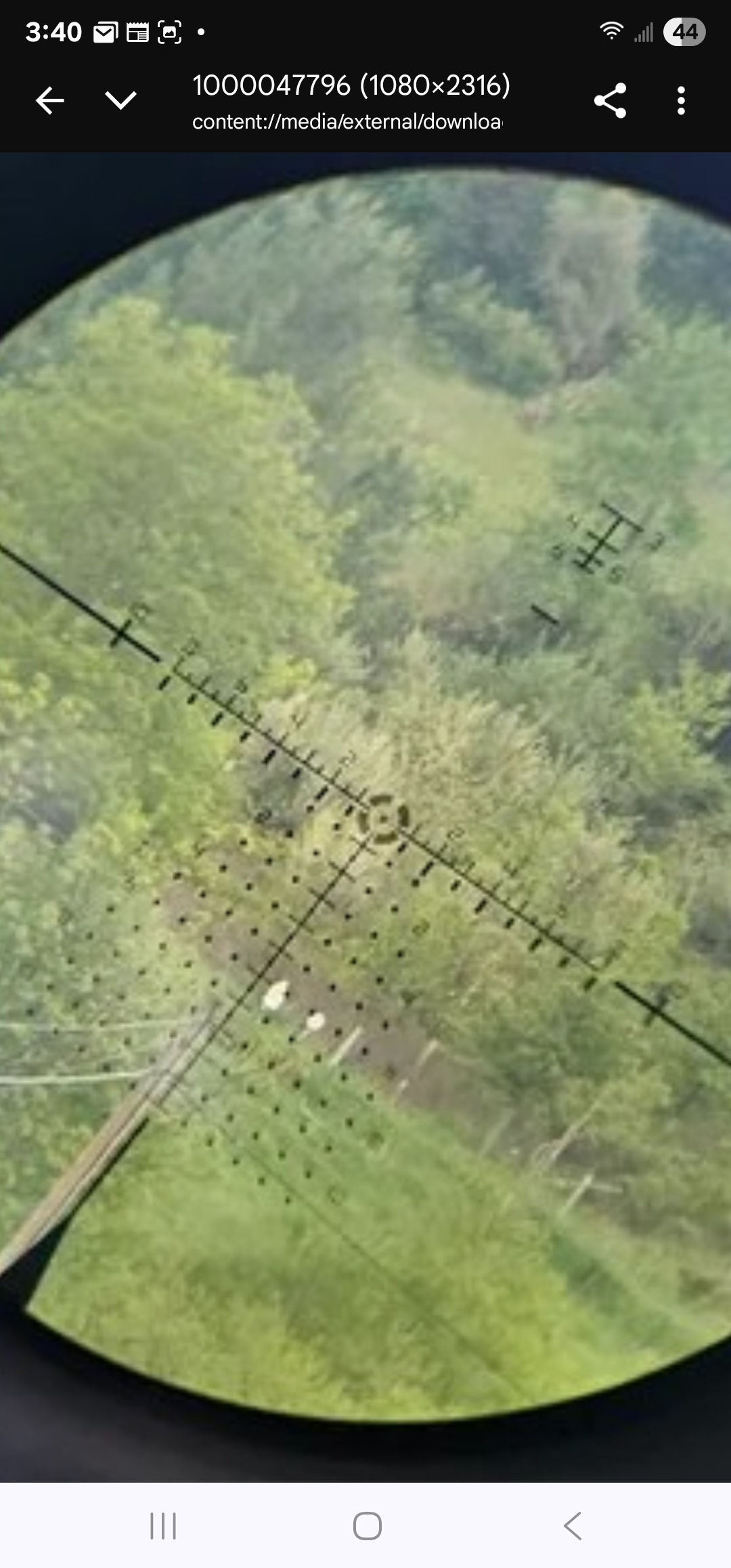 1000047797.jpg