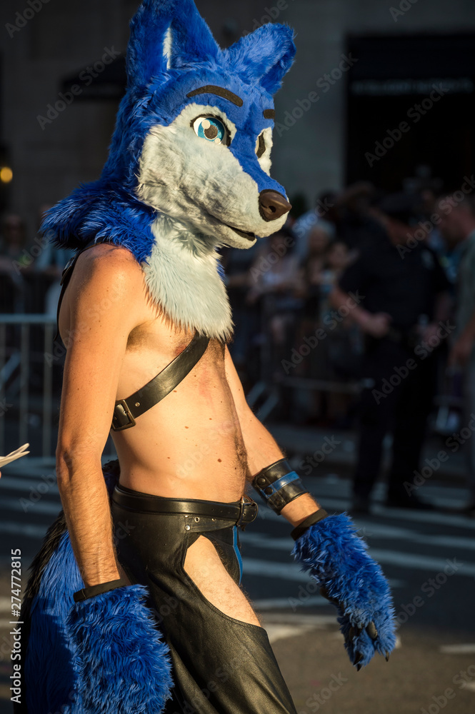 1000_F_274772815_BSSPmfvcM3wSlstzuhtWCrnZyItho5Tp.jpg