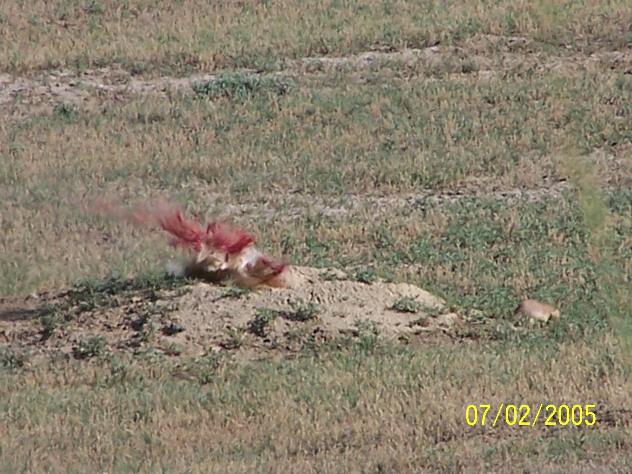 100_0699.JPG