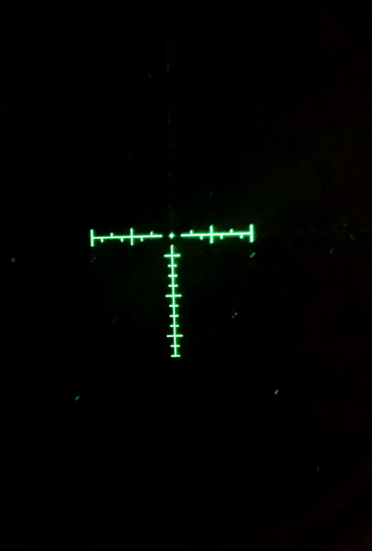10116325-2BE7-4EA7-8504-4245B892A4E7.jpeg