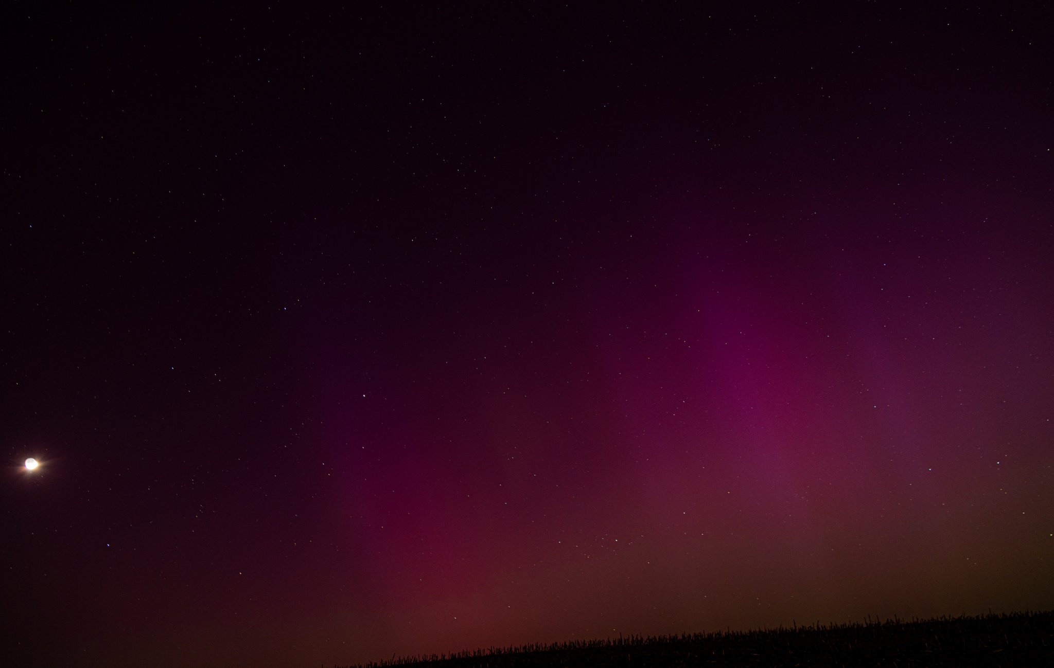 101A0894sm.jpg