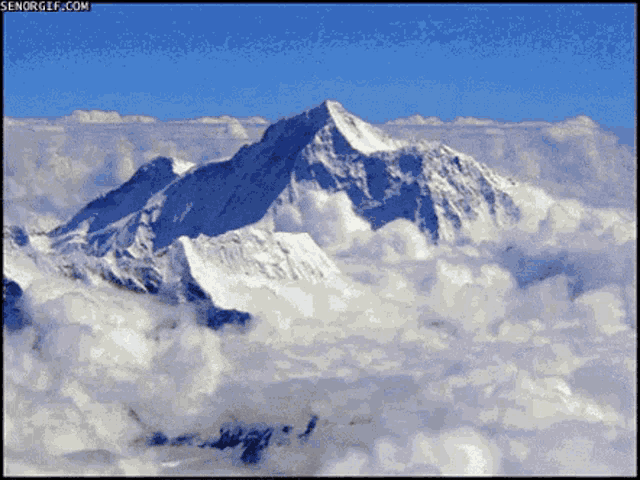 105237.gif