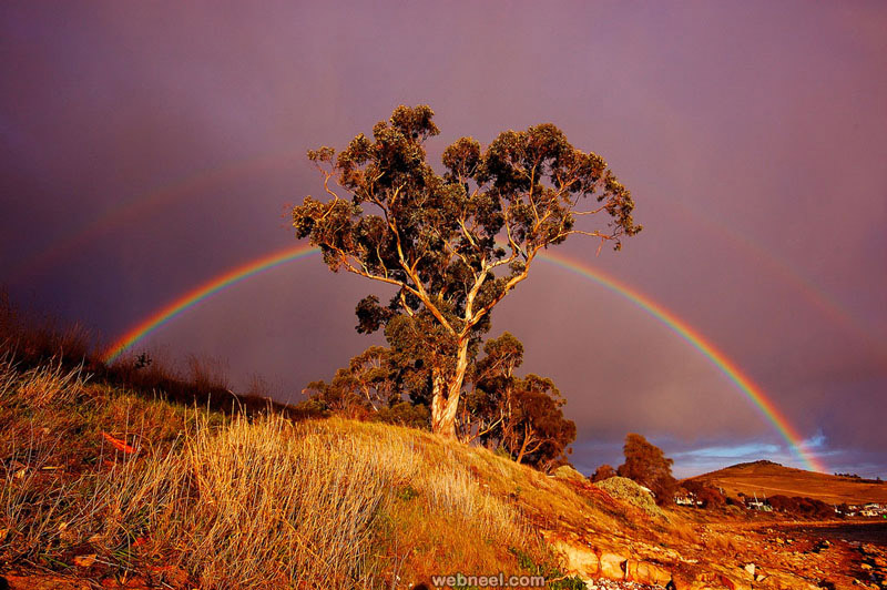 11-rainbow-photo.jpeg