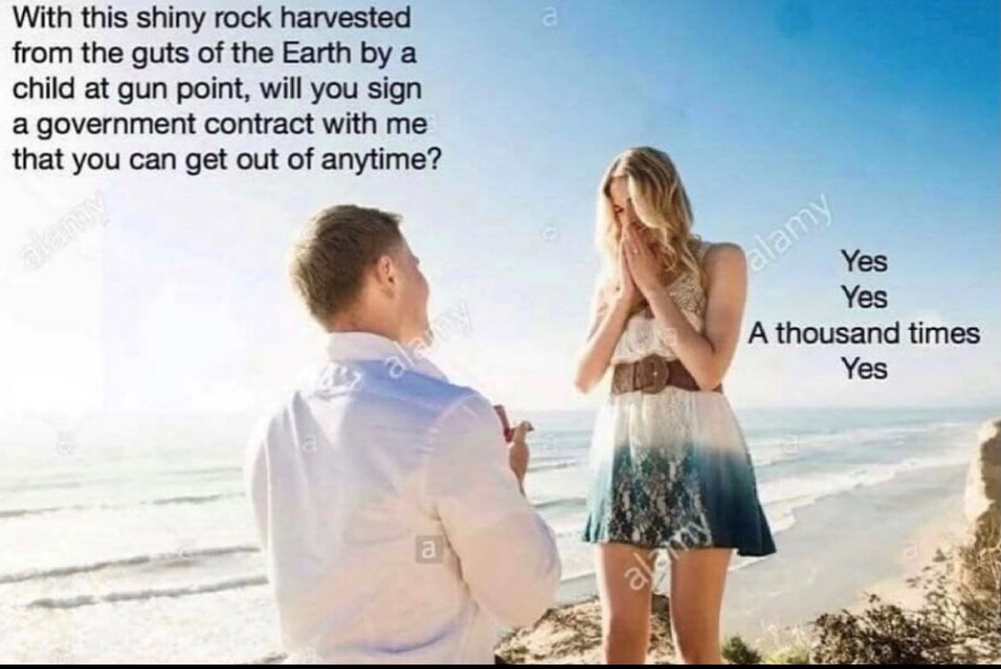 1111.jpg