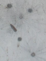 1150yd168.jpg