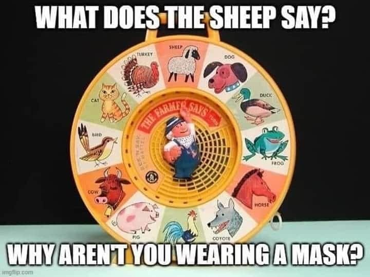 116775628_3162967007120157_3435857213734020777_n.png