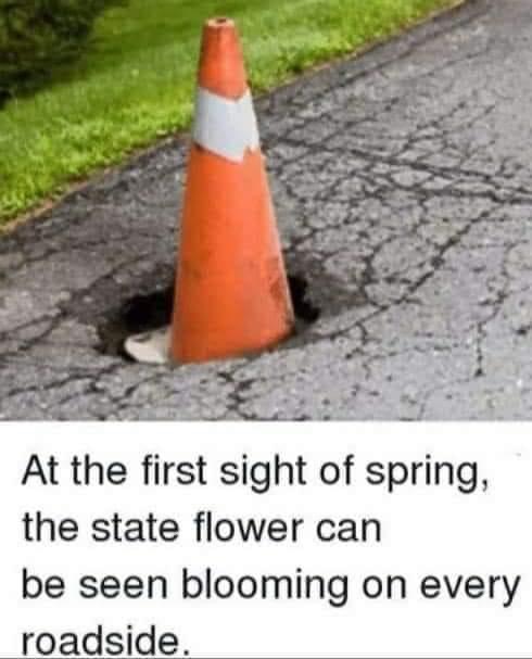 11E7B6A3-7CE6-4755-8CF7-C8316B20AAAF.jpeg