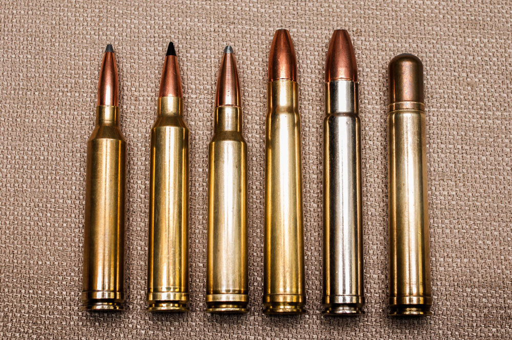 12BeltedMagnumCartridges.jpg