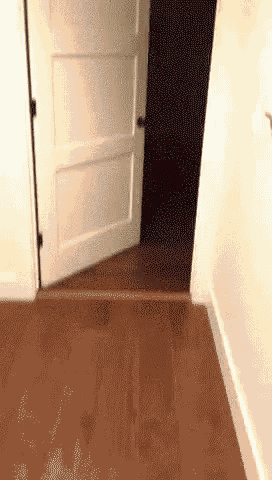 12C1E6E8-DD4C-4A24-B365-13D7676689AD.gif
