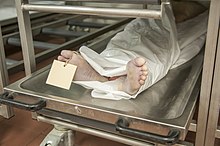 13-11-12-rechtsmedizin-berlin-charite-by-RalfR-20.jpg