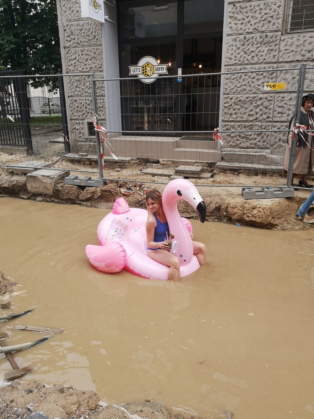 13080863.jpg