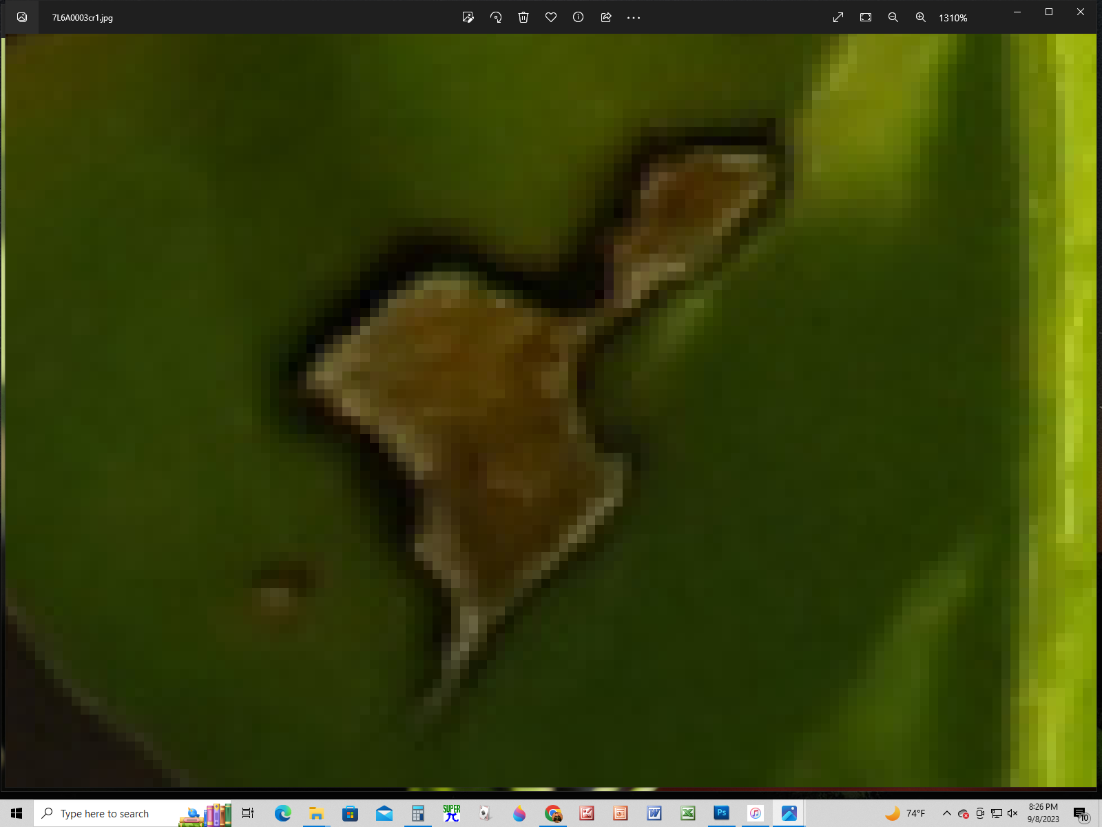 1310%.png